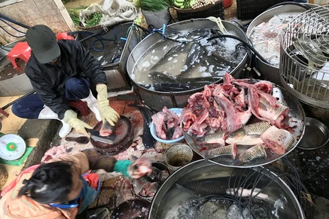 Hanoi urged to step up safe food efforts