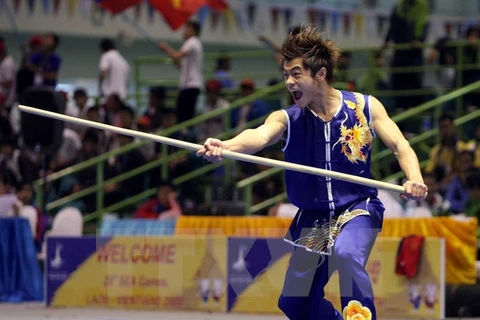 SEA Games 29: Vietnam bags more medals in wushu, archery