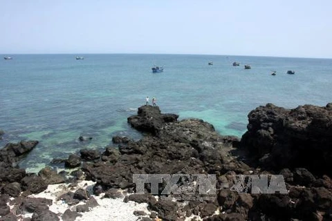 More efforts needed to preserve biodiversity on Ly Son Island