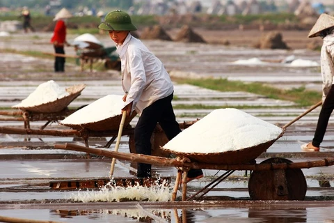 Salt farmers struggle with weak crops