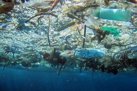 East Asian countries join hands to fight plastic waste in ocean