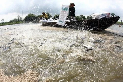 Vietnam steps up aquaculture cooperation with Cambodia 