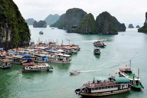 Ha Long attractive to real estate, tourism firms