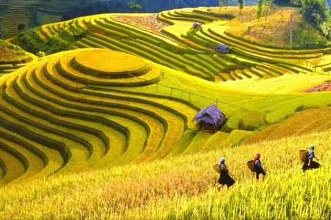 Vietnam named among 20 most beautiful countries