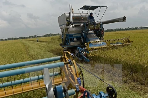 Thailand encourages investment in modern agriculture