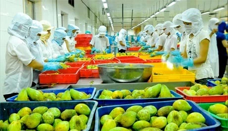 Vietnam strategises to reach yearly export value target 