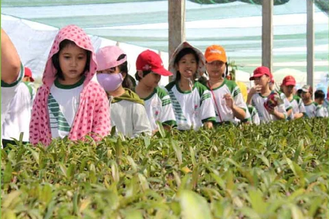 HCM City seeks solutions to promote agriculture tourism