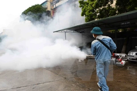 Hanoi: 384 dengue outbreaks remain