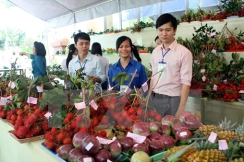 Vegetable, fruit exports hoped to hit record high 