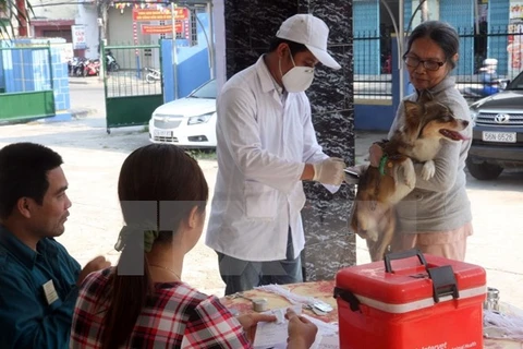 Bac Giang meeting responds to World Rabies Day