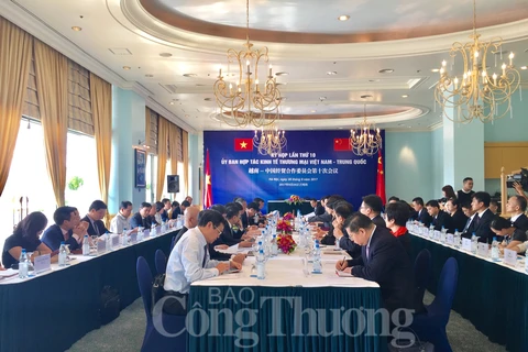 Vietnam, China seek measures to balance trade