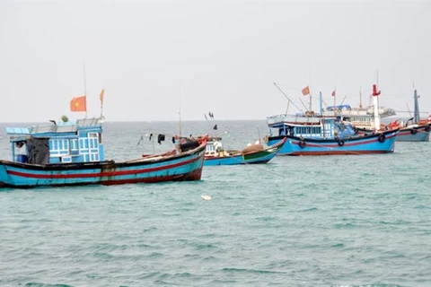Up to 1.87 billion USD projected for offshore fishing development