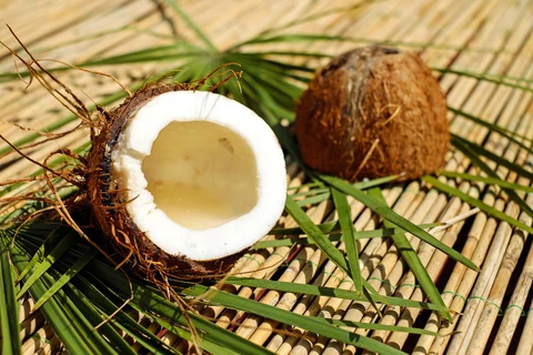 Indonesia earns nearly 900 million USD from coconut exports