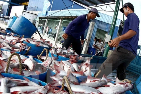  VASEP: No year-end surge in tra fish, shrimp exports to US 