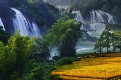 Festival in honour of Vietnam’s widest waterfall