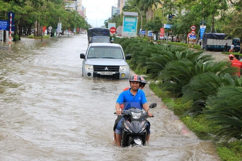 Nghe An: heavy rain leaves 1 dead, 2 missing