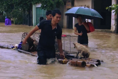 Seven deaths, four missing in floods reported in Thanh Hoa
