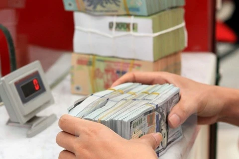 Foreign exchange reserves hit record 45 billion USD