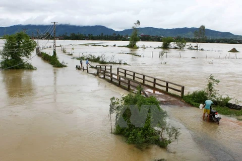 HCM City raises fund for flood-hit people in north, central