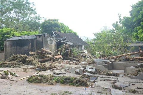 Vietnam Embassy in Indonesia raises funds for flood victims 