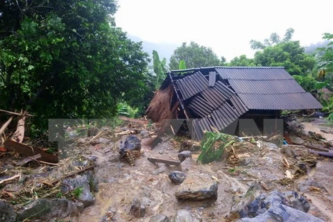 Japan donates relief aid to Vietnamese flood-hit localities 