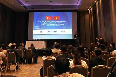 Vietnamese, Turkish enterprises seek to boost connectivity