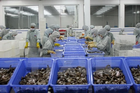 Vietnam aquaculture export and forum opens in Can Tho 