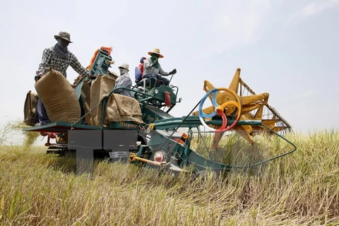Thailand strengthens agricultural supply chain