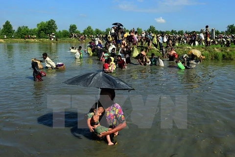 Over 7,000 granted national verification cards in Rakhine state