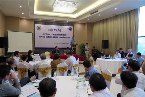 Dutch organisation aids agricultural cooperatives in Quang Nam