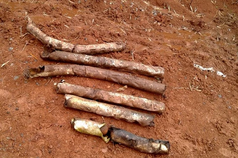60 bomblets found in Quang Tri province
