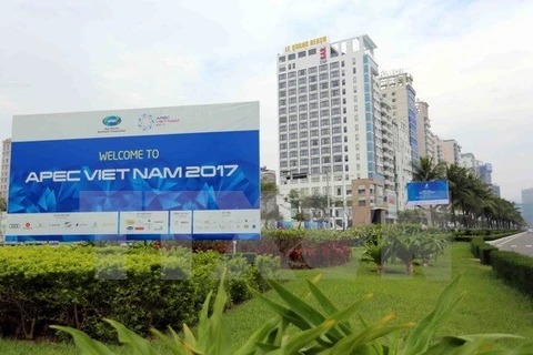 APEC 2017: Russia backs host Vietnam’s priorities 