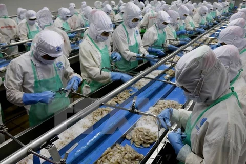 Vietnam enjoys strong growth in shrimp exports to RoK