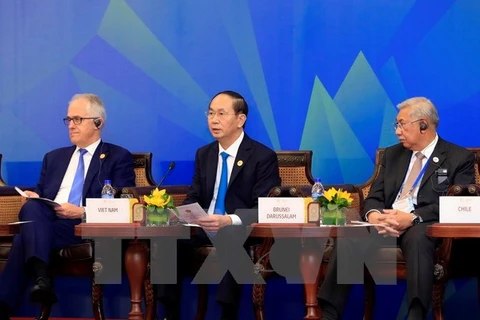 APEC 2017: Vietnamese President's speech at APEC-ABAC dialogue