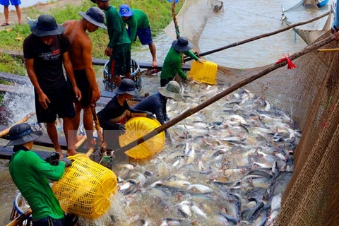 Vietnam promotes aquaculture, fishery at Algeria’s int’l fair