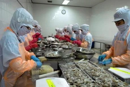 Vietnam able to master parent shrimp production