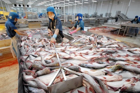 Vietnamese exporters must defend against trade suits