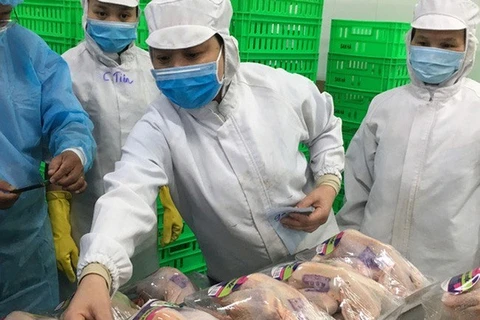 Company to build factory to increase chicken exports
