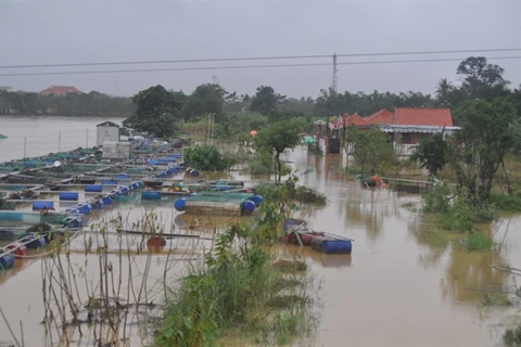 Hue hit by fifth flood in just a month