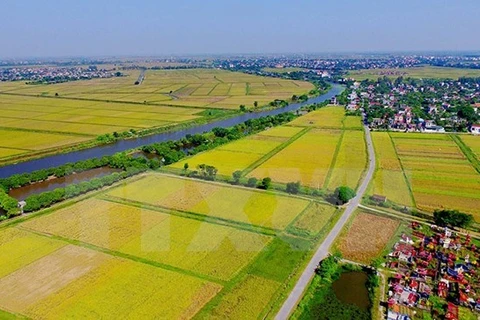 Workshop discusses Belgian support for Vietnam’s agriculture