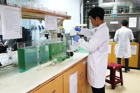 HCM City students find way to grow spirulina at home 