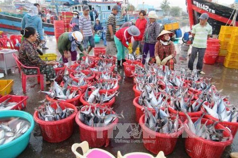 ICFO supports Vietnamese fishermen