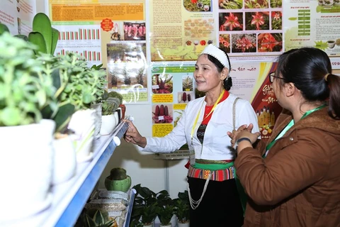Time for Vietnam’s agriculture go hi-tech