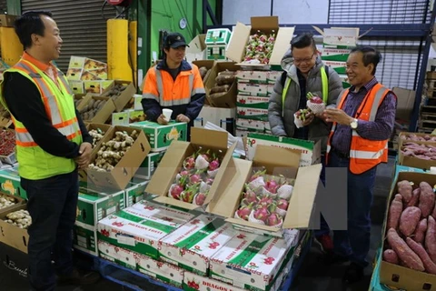 Fruits, vegetables export reach 3.16 billion USD in 11 months