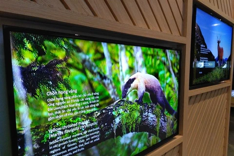  Exhibition shows biodiversity of Vietnam, Taiwan