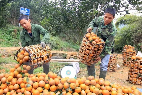 Agricultural trade fair to take place in Hanoi