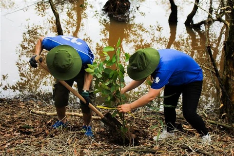 WWF, Intel continue wetland reforestation project in Long An