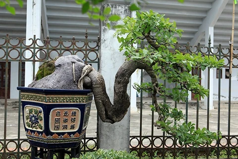 Ornamental plant and bird exhibition opens in Hanoi 
