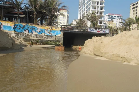 Da Nang city fines owner of polluting project 