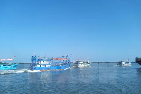 Fisheries – important economic sector of Vietnam 